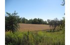 Property photo 69 - 80 Acres Offered in 4 Tracts - Horse Farm